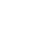 Immediate Aspect - LEADING STRATEGIES